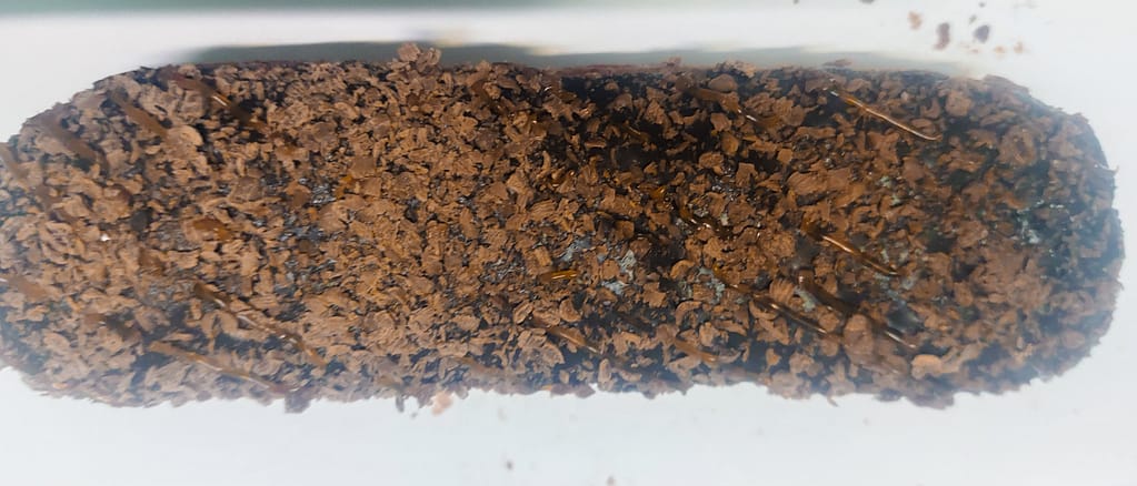 evening snack item, snack items, snacks items list, bakery snacks, food items for snacks, breakfast items